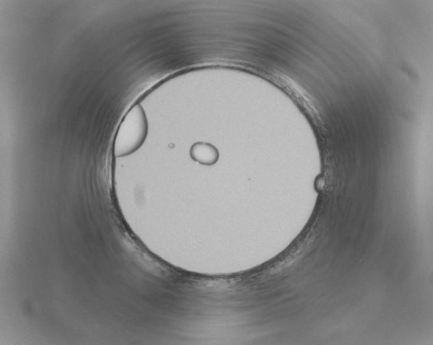 X0000115420892200912151600