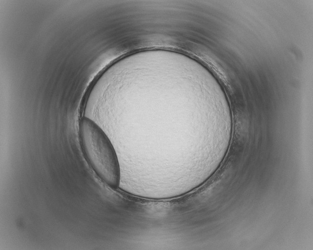 X0000115420893200912151600