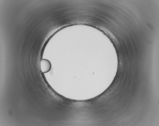 X0000115420894200912151600