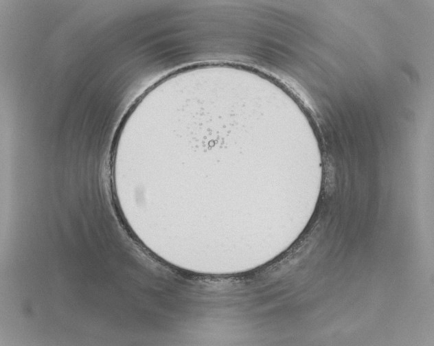 X0000115420895200912151600