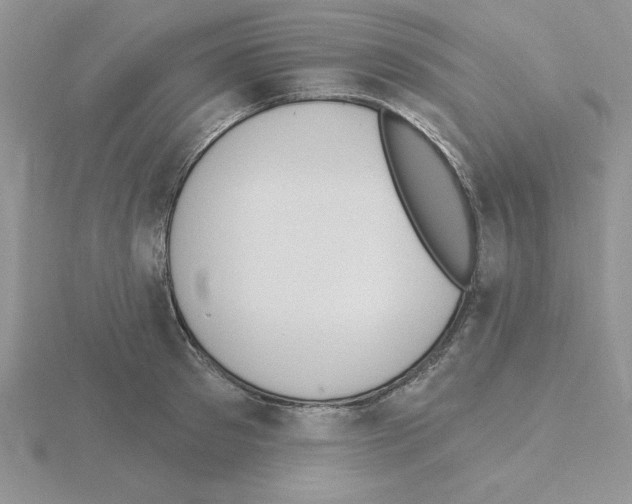 X0000115420897200912151600