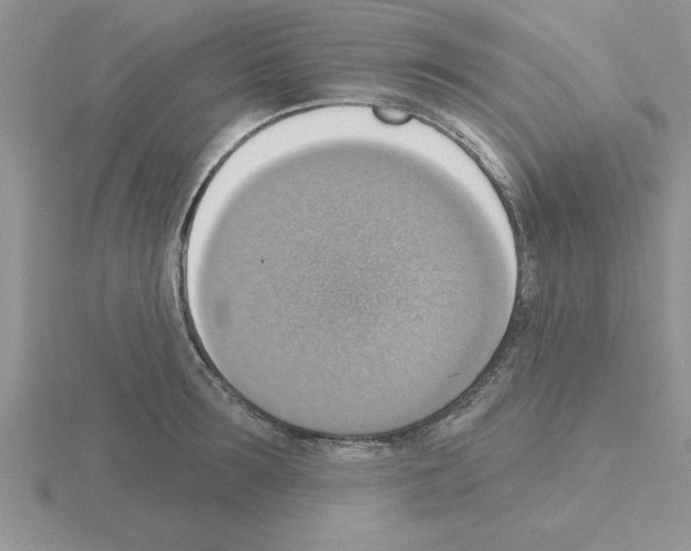 X0000115420899200912151600