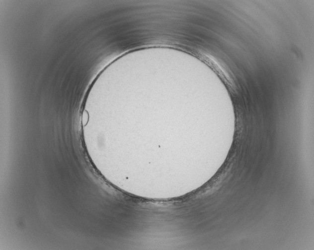 X0000115420900200912151600