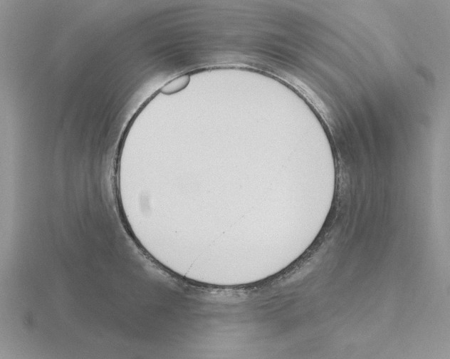 X0000115420901200912151600