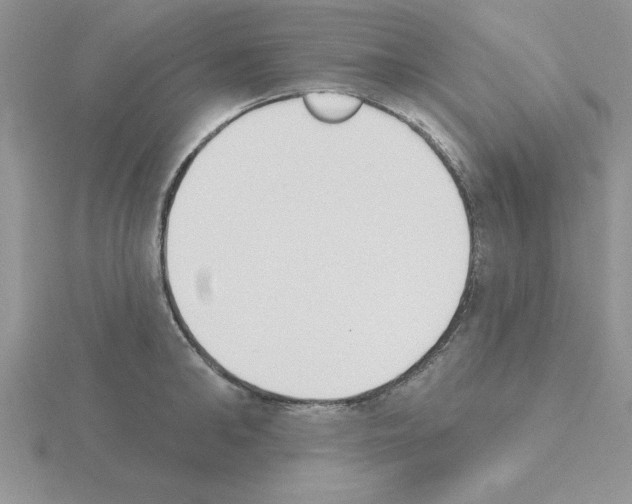 X0000115420902200912151600