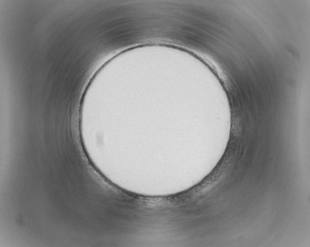 X0000115420903200912151600