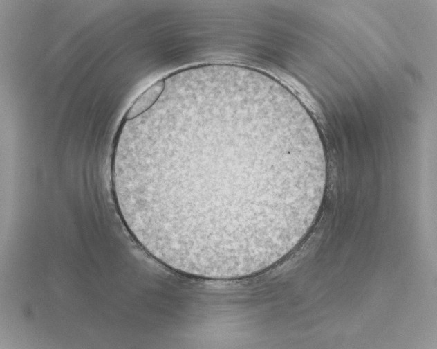 X0000115420904200912151600