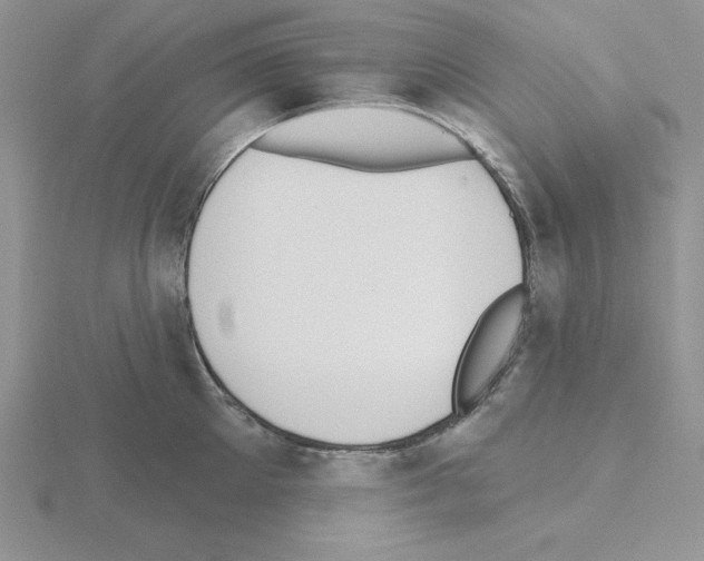 X0000115420905200912151600