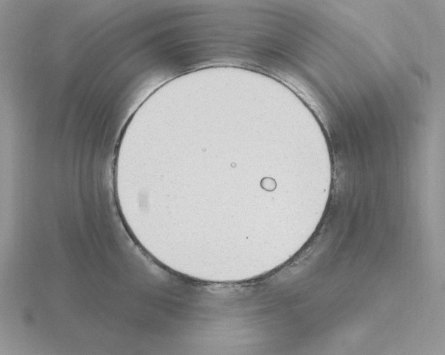 X0000115420906200912151600