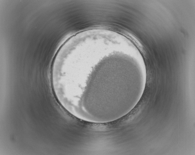 X0000115420907200912151600