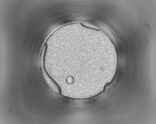 X0000115420908200912151600