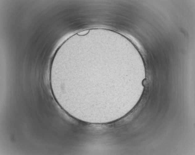 X0000115420910200912151600