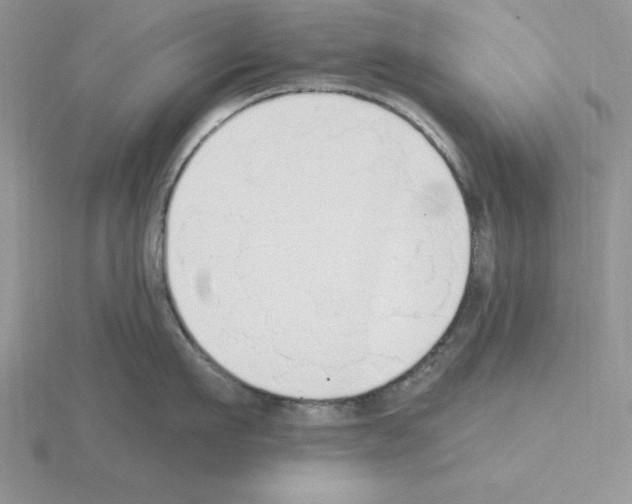 X0000115420911200912151600