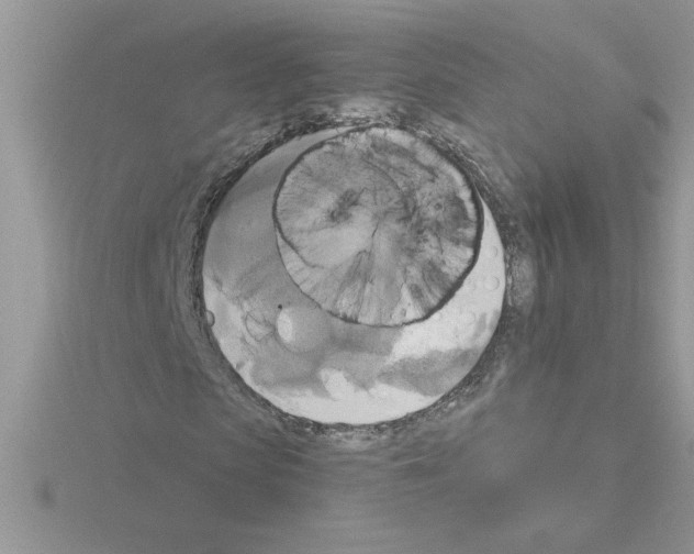 X0000115420913200912151559