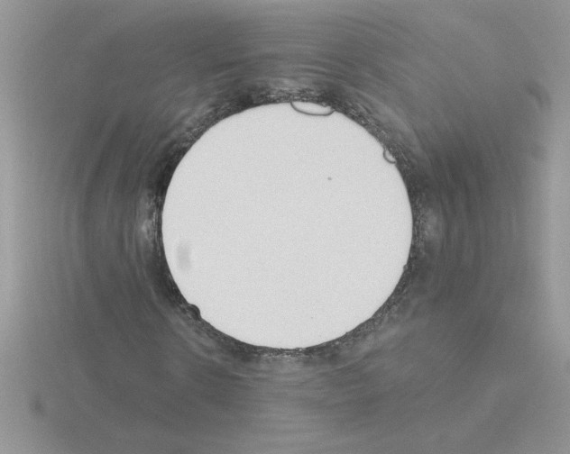 X0000115420914200912151559