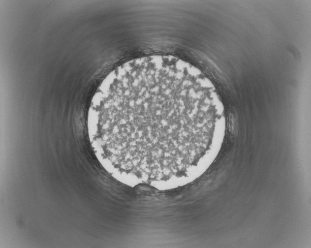 X0000115420915200912151559