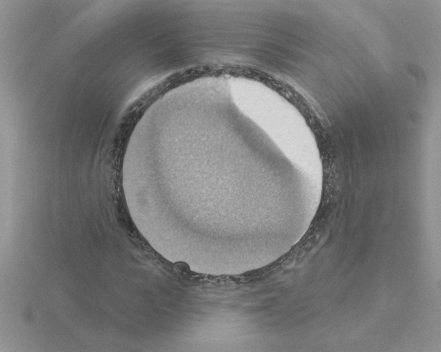 X0000115420919200912151600