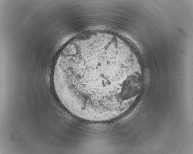 X0000115420921200912151600