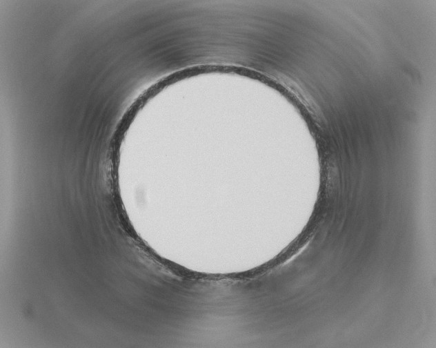 X0000115420926200912151600