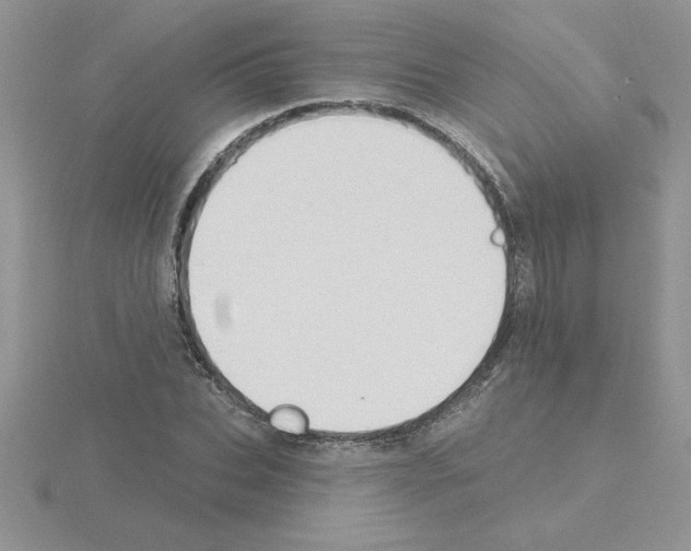 X0000115420927200912151600