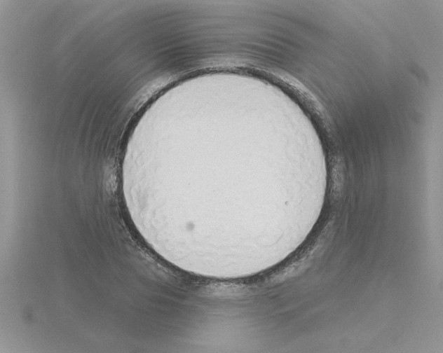 X0000115420929200912151600