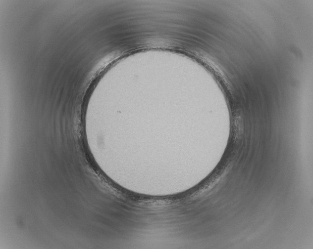 X0000115420930200912151600