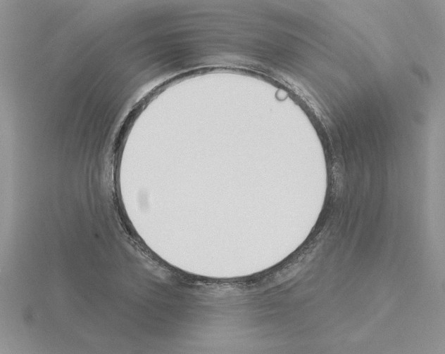 X0000115420931200912151600