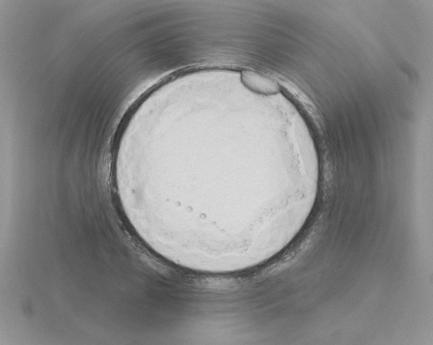 X0000115420933200912151600