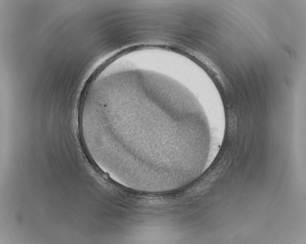 X0000115420935200912151600