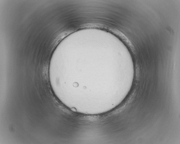 X0000115420937200912151600