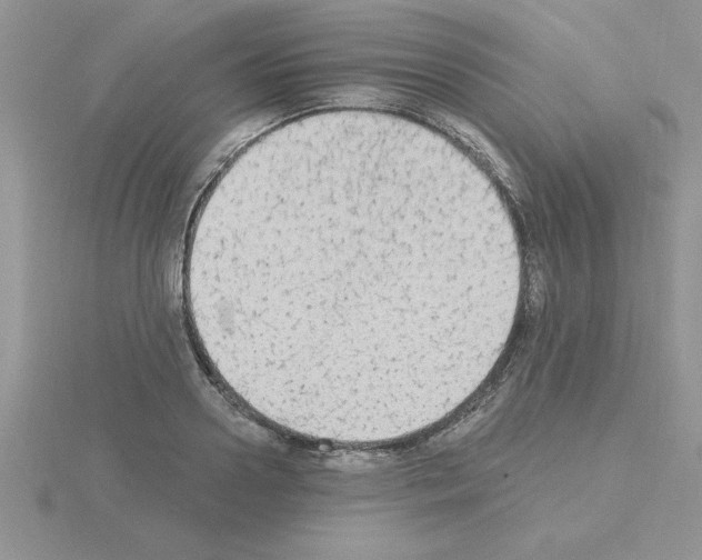 X0000115420938200912151600