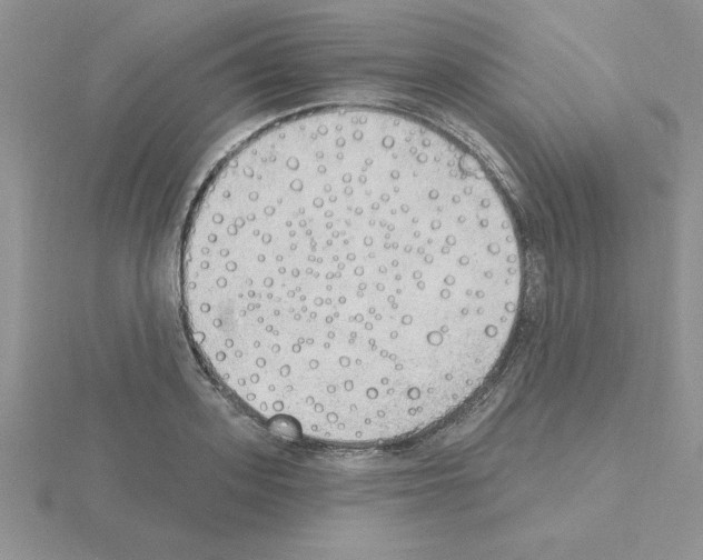 X0000115420939200912151600