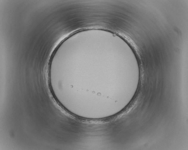 X0000115420941200912151600