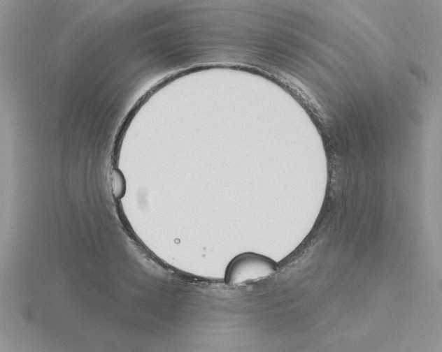 X0000115420942200912151600