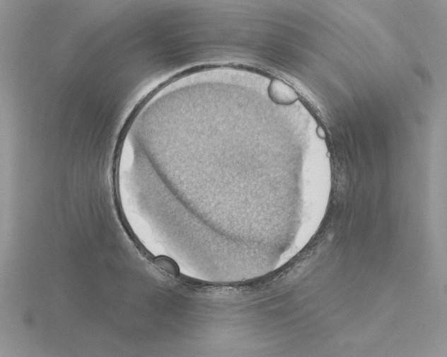 X0000115420943200912151600