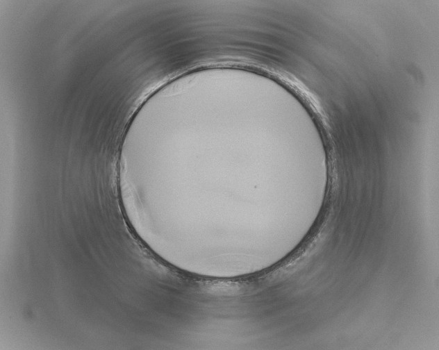 X0000115420945200912151600