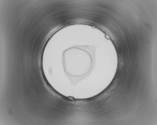 X0000115420946200912151600