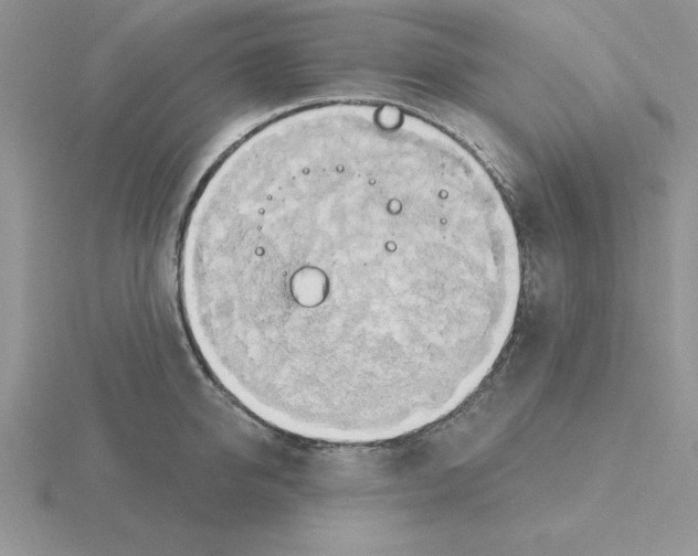 X0000115420950200912151600