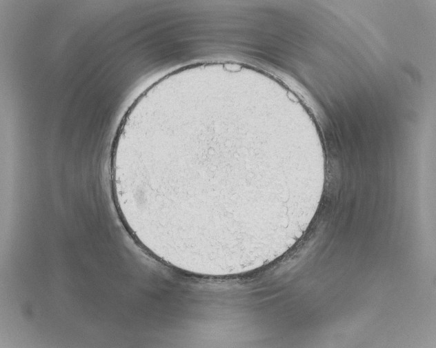 X0000115420951200912151600