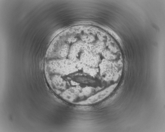 X0000115420953200912151600