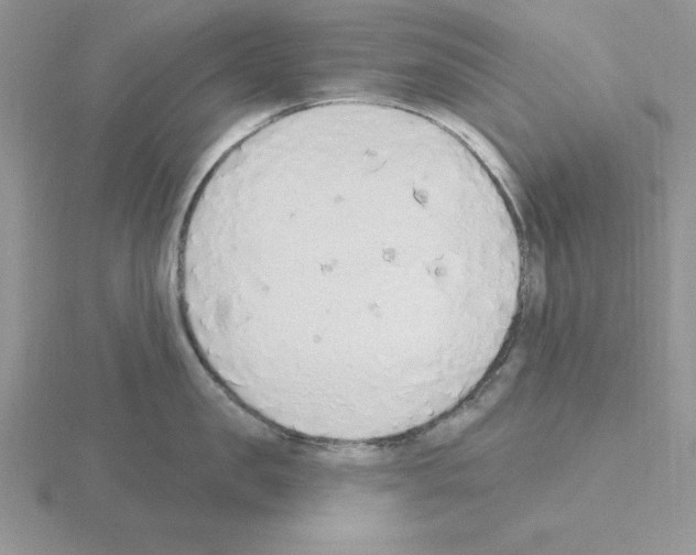 X0000115420957200912151600