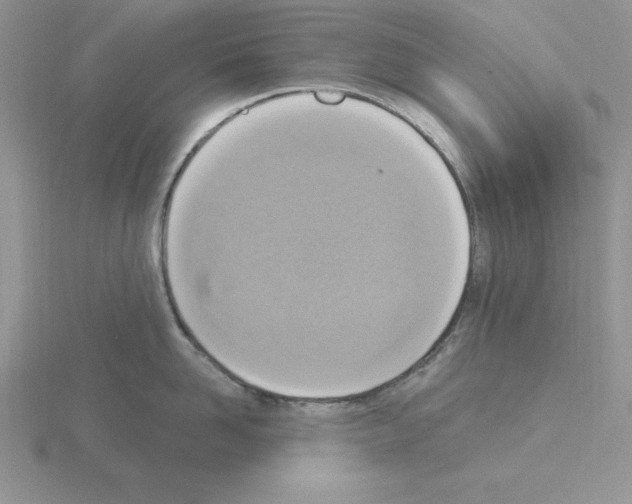 X0000115420958200912151600