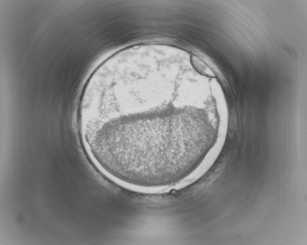 X0000115420959200912151600