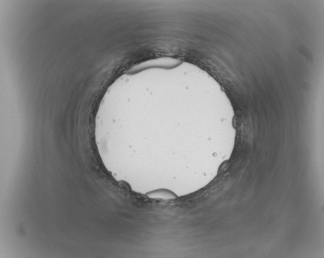 X0000115420961200912151559