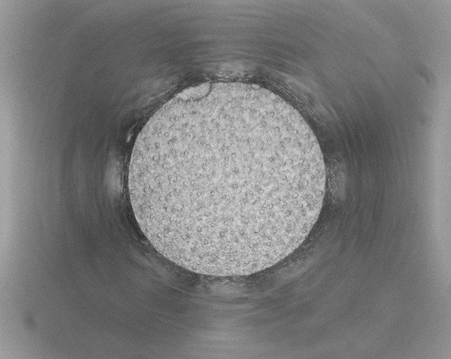 X0000115420962200912151559