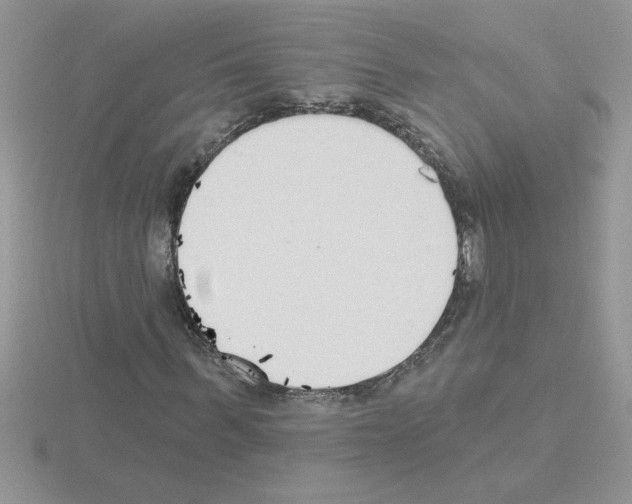 X0000115420963200912151559