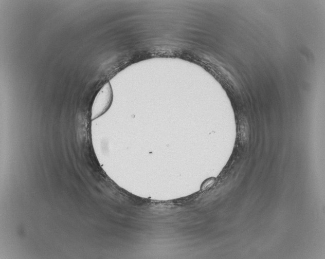 X0000115420964200912151559