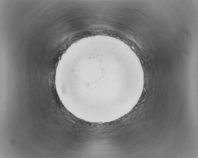 X0000115420965200912151559