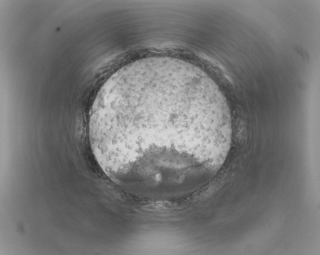 X0000115420966200912151559