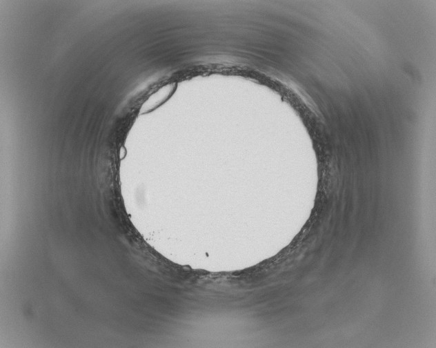 X0000115420967200912151559